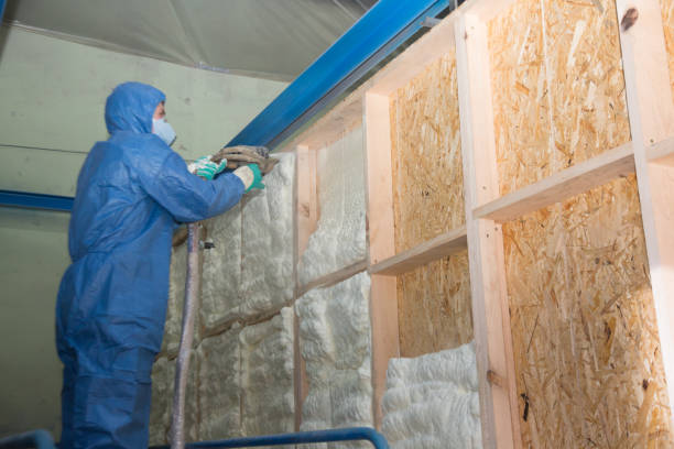 Best Insulation Contractor Near Me  in Americus, GA